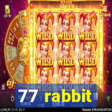 77 rabbit